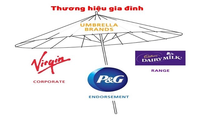 Mô hình thương hiệu