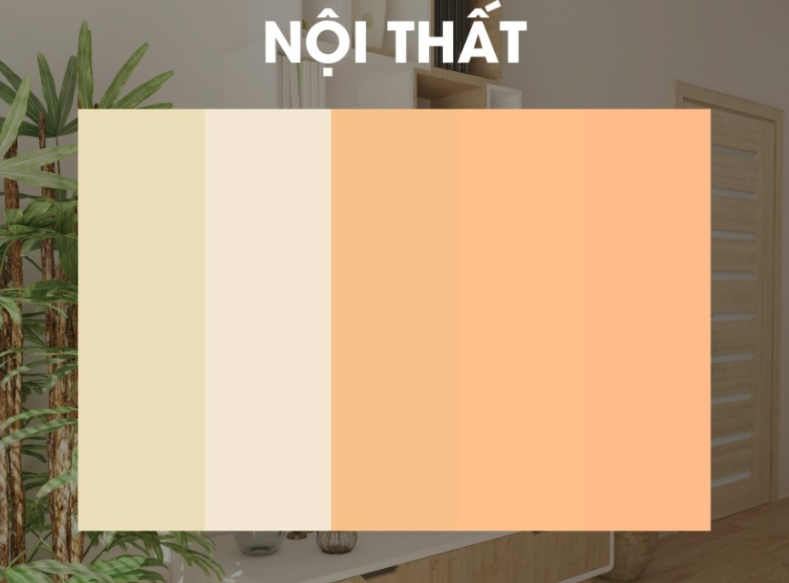 Màu sắc thiết kế các lĩnh vực