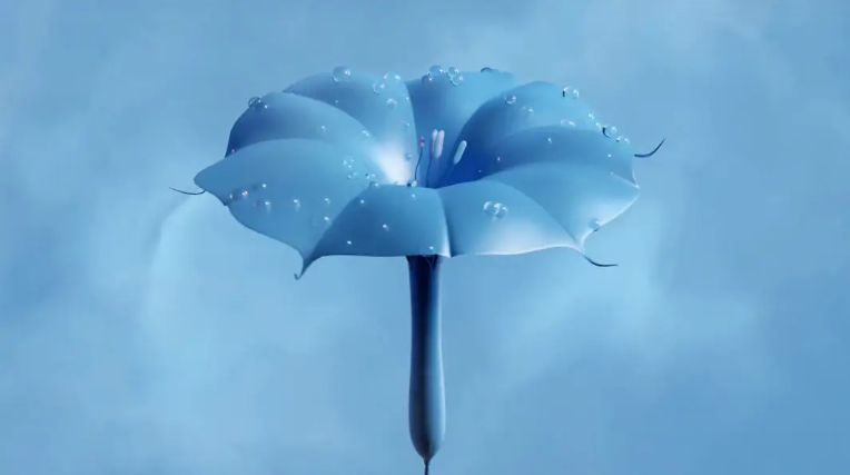 Màu sắc hot trend