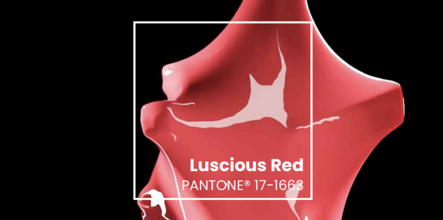 Màu sắc hot trend