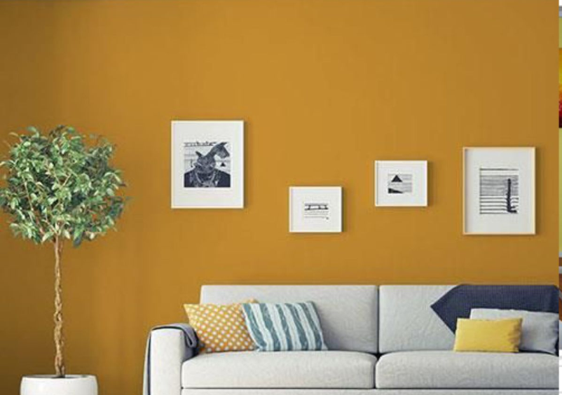 Màu sắc hot trend