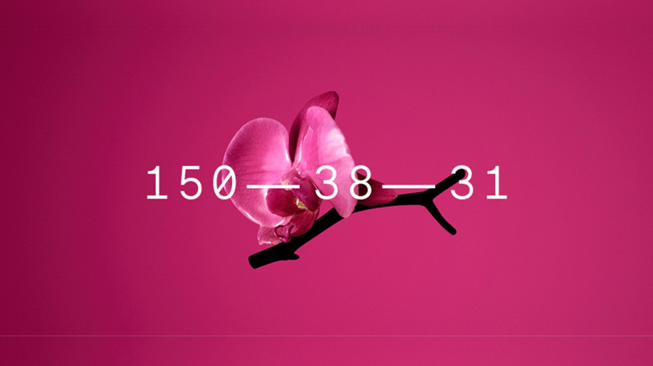 Màu sắc hot trend