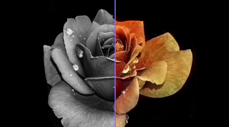 Cặp màu tương phản là gì?