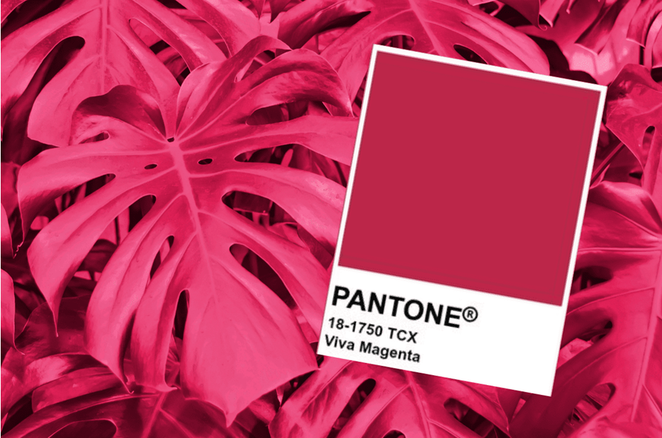 Màu sắc hot trend