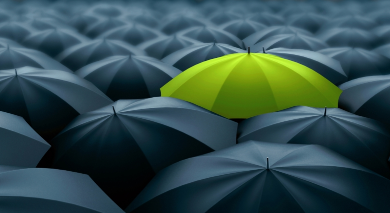 Bố cục thiết kế